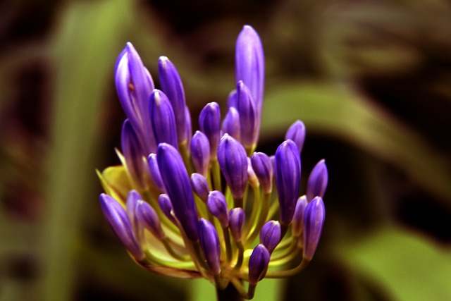 战术层面考 战术层面考