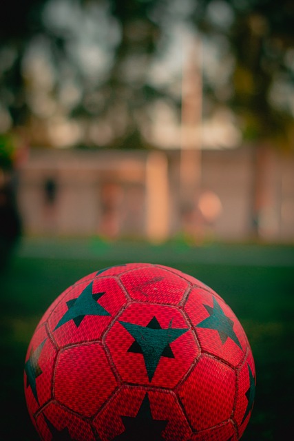 而是真正成 而是真正成