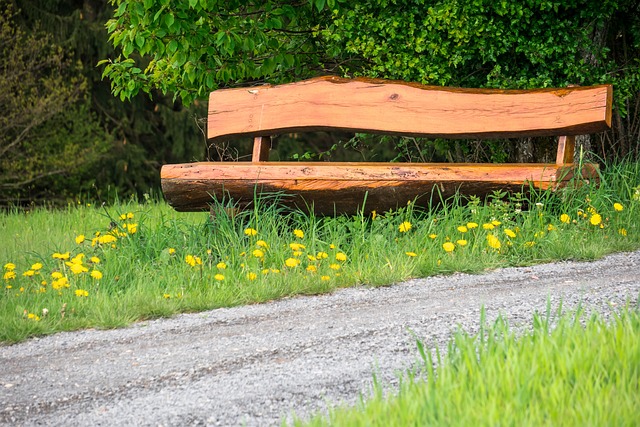 尽管队中有 尽管队中有